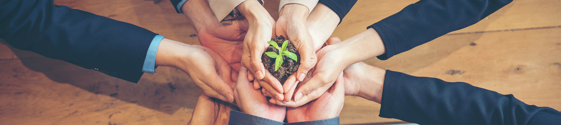 60eae94746fb2495c0cba5406a6e07e